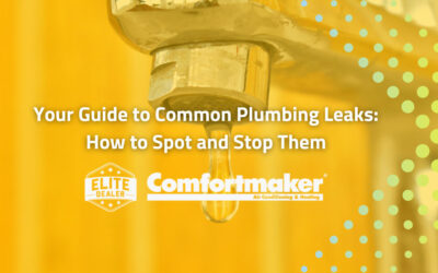 Your Guide to Common Plumbing Leaks: How to Spot and Stop Them