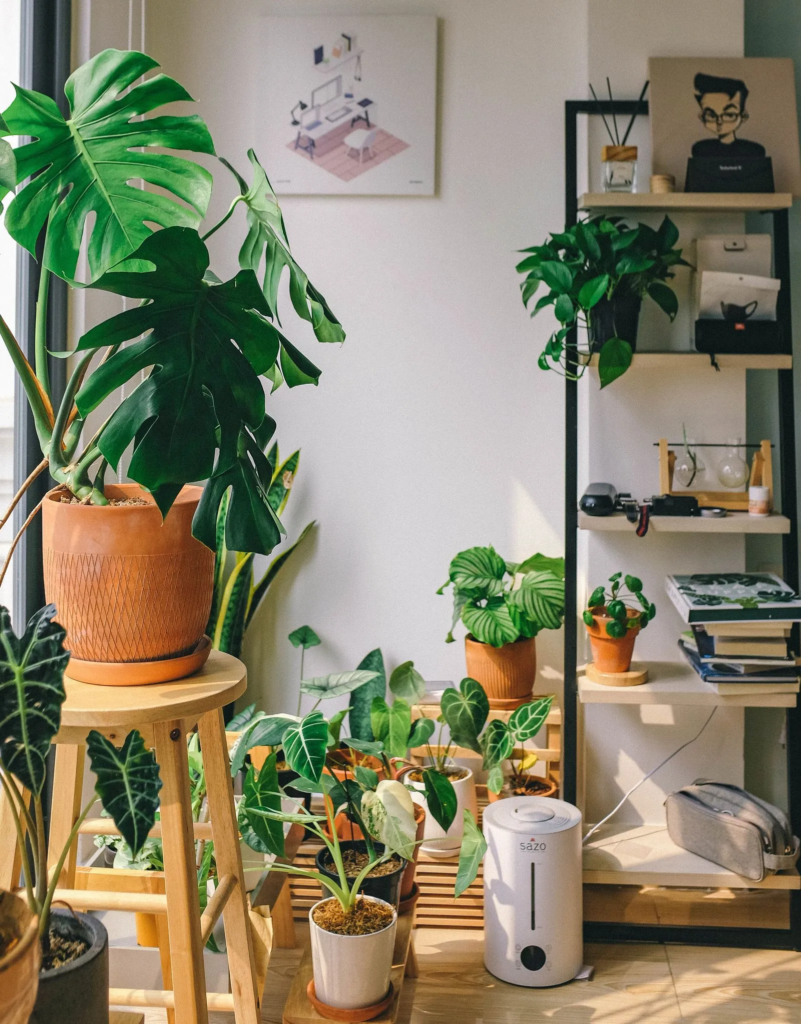 Bright room with houseplants and a humidifier